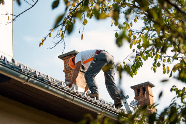Best Local Roofing Companies  in Denton, NC