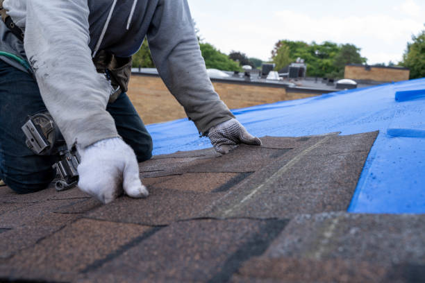 Best Roof Leak Repair  in Denton, NC